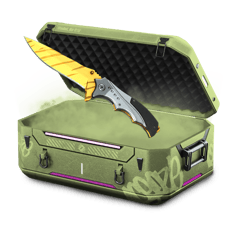 COWBOY2 CASE