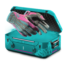 Bin Revolution Case