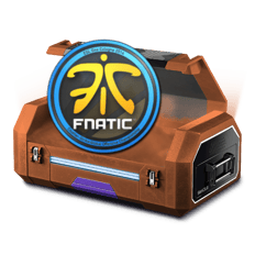 fnatic sticker