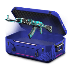 Beris case 7