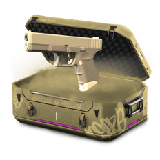 FN LOW GRADE SKINS