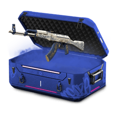30% AK DGS battle