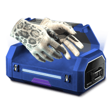 10% TOP GLOVES