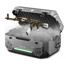 zeeta's StatTrak™ case