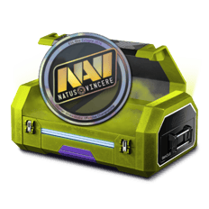 Natus Vincere collection