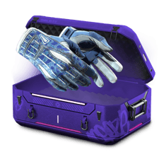 100% Gloves