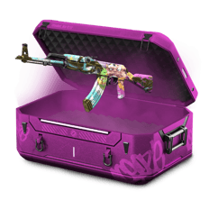 BATTLE CASE, GOOD SKINS💎