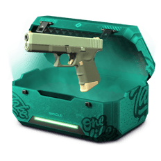 🍃Winners Battle Case🍃