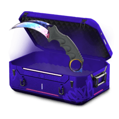 0,1% Karambit Marble Fade