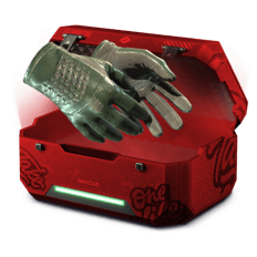 100% GLOVES