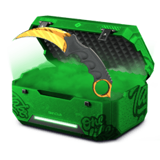 80% Profit Case