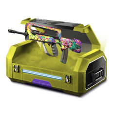 famas 13%