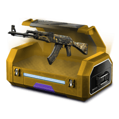 10% AK Case