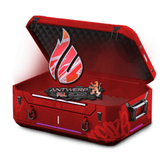 Saltys StickerCase "4"