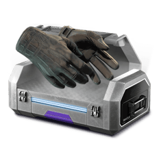 Glove case