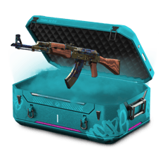 AK-47 Blue gem hunt