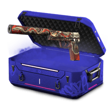 2014 Holo Case