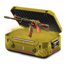 25% GALIL CASE